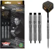 Bull's NL Arrows Steel Pavel Jirkal - 80% - 24g