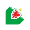Mission Letky Football - Wales FA - Welsh \ Cymru - F4 - F3915