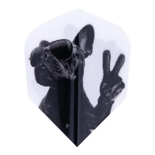 Windson Stalowe lotki Doggy - 23 g