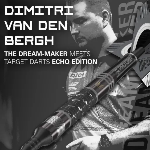 Target - darts Rzutki Dimitri Van den Bergh - Echo - 20g