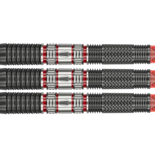 Target - darts Rzutki Steel Gabriel Clemens 95K - Swiss Point - 21g