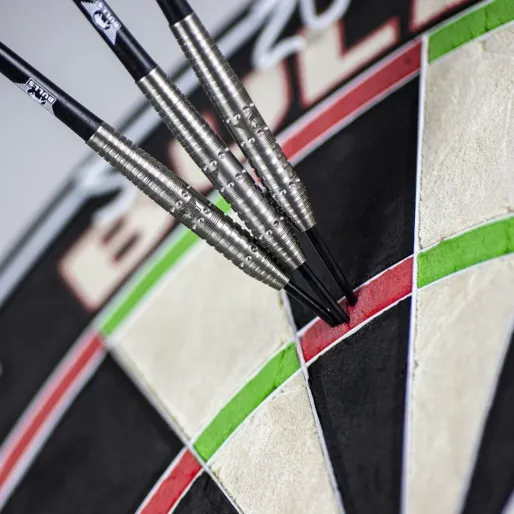 Bull's NL Rzutki stalowe Richard Veenstra - 80% - 25g