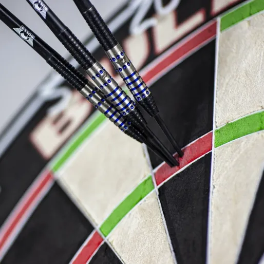 Bull's NL Rzutki stalowe Richard Veenstra - 24g