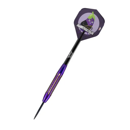 Bull's NL Rzutki stalowe Dirk van Duijvenbode - Aubergenius - Mosiądz - 21g