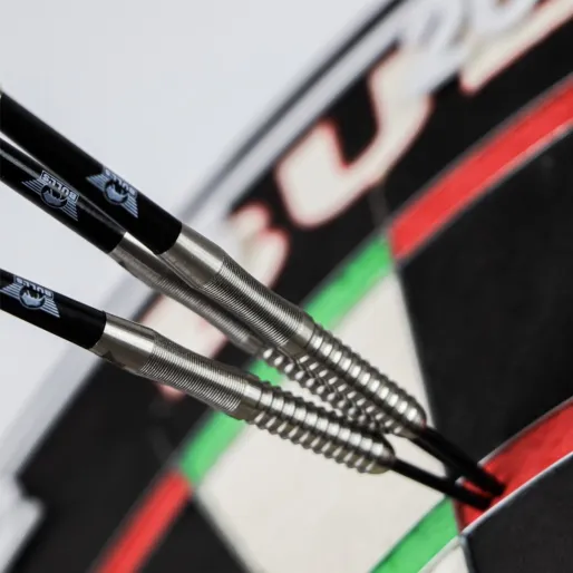 Bull's NL Rzutki stalowe Sebastian Steyer - E2 - 24g