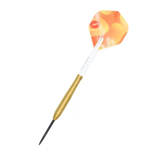 Loxley Rzutki Steel Christian Kist - Mistrz Świata - 22g