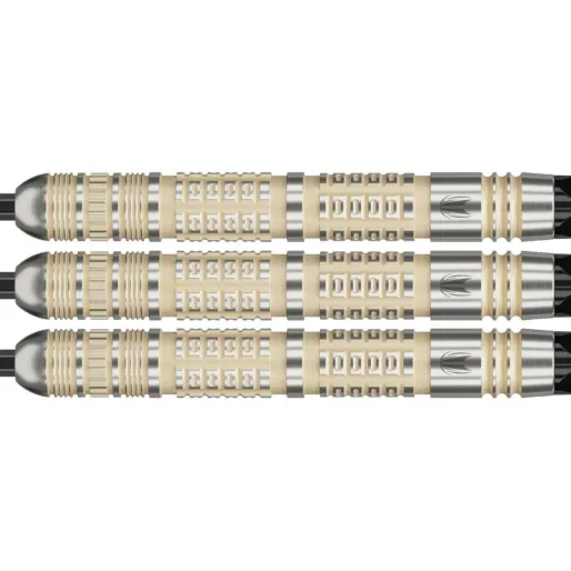 Target - darts Rzutki stalowe Dimitri van den Bergh - 95K - Swiss Point - 22g