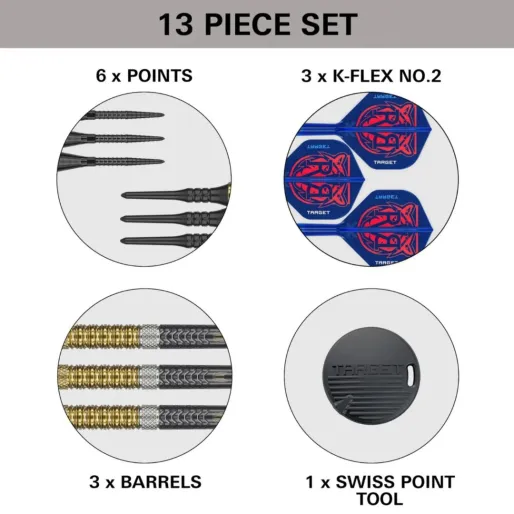 Target - darts Rzutki Raymond van Barneveld - G6 - 18g