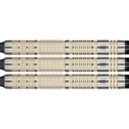 Target - darts Rzutki Dimitri van den Bergh - 95K - 18g