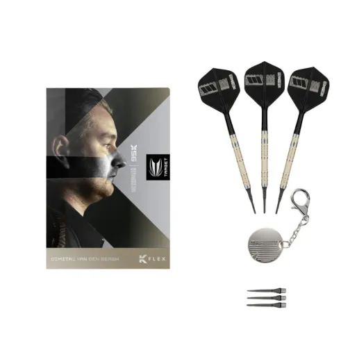 Target - darts Rzutki Dimitri van den Bergh - 95K - 18g