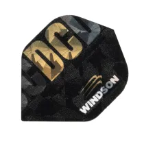 Windson Eskadry Kosmiczny Świt