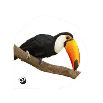 Bull's Squadrons Motex 52204