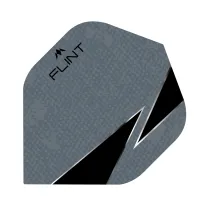 Mission Flint-X Squadrons - Grey F1823