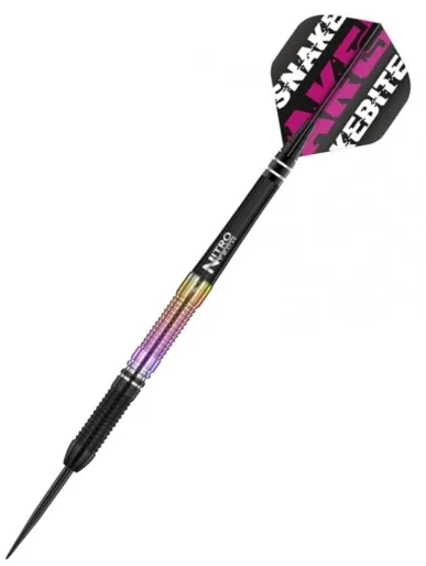 Red Dragon Steel Peter Wright Snakebite World Champion 2020 Edition - 25 g